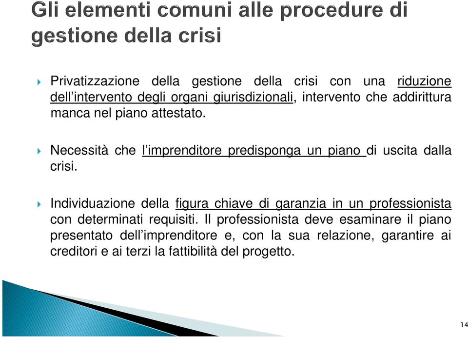 Individuazione della figura chiave di garanzia in un professionista con determinati requisiti.