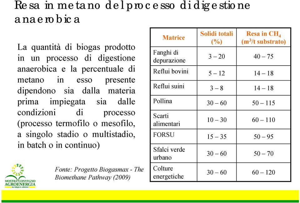 continuo) Fonte: Progetto Biogasmax - The Biomethane Pathway (2009) Matrice Fanghi di depurazione Solidi totali (%) Resa in CH 4 (m 3 /t substrato) 3 20 40 75 Reflui