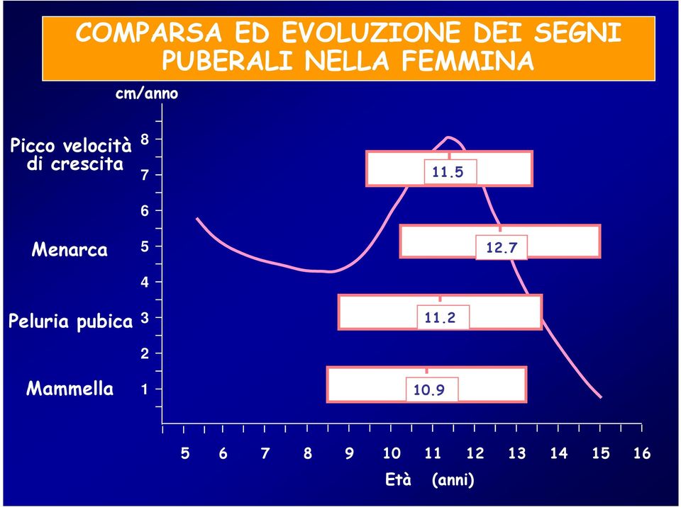 11.5 Menarca 5 4 12.