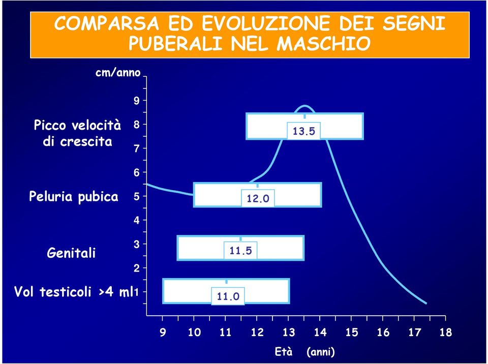 13.5 Peluria pubica Genitali 5 4 3 2 11.5 12.