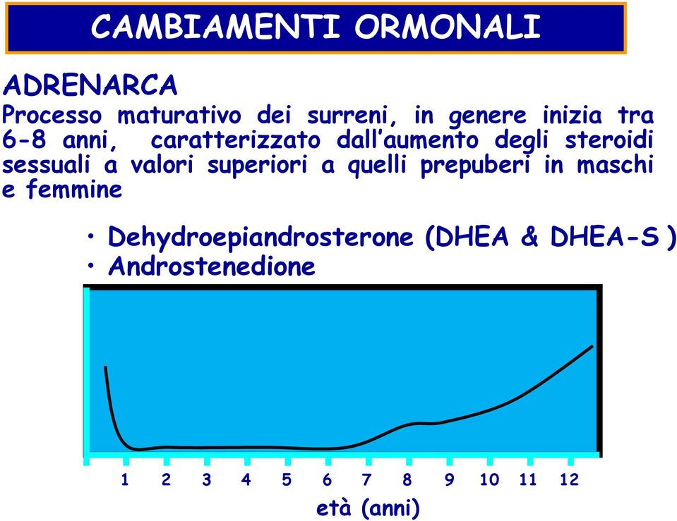 valori superiori a quelli prepuberi in maschi e femmine