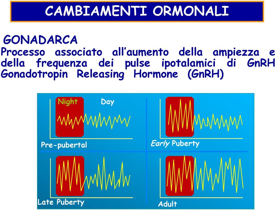 ipotalamici di GnRH Gonadotropin Releasing Hormone