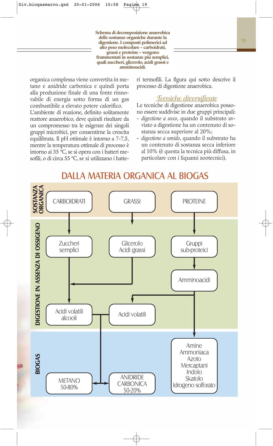 19 organica complessa viene convertita in metano e anidride carbonica e quindi porta alla produzione finale di una fonte rinnovabile di energia sotto forma di un gas combustibile a elevato potere