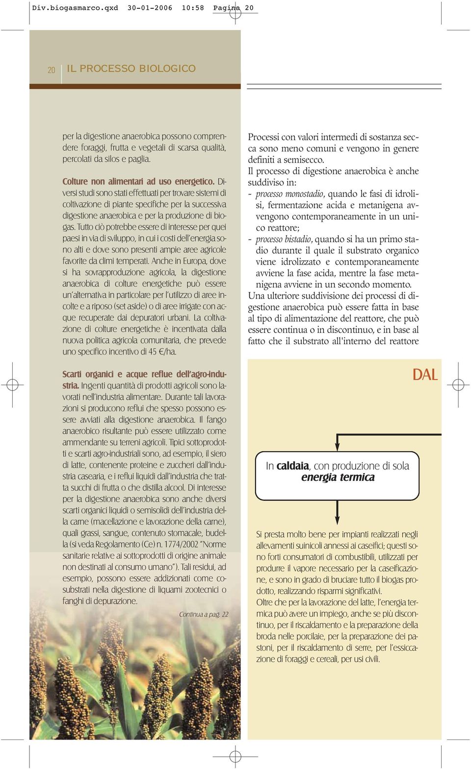 Diversi studi sono stati effettuati per trovare sistemi di coltivazione di piante specifiche per la successiva digestione anaerobica e per la produzione di biogas.