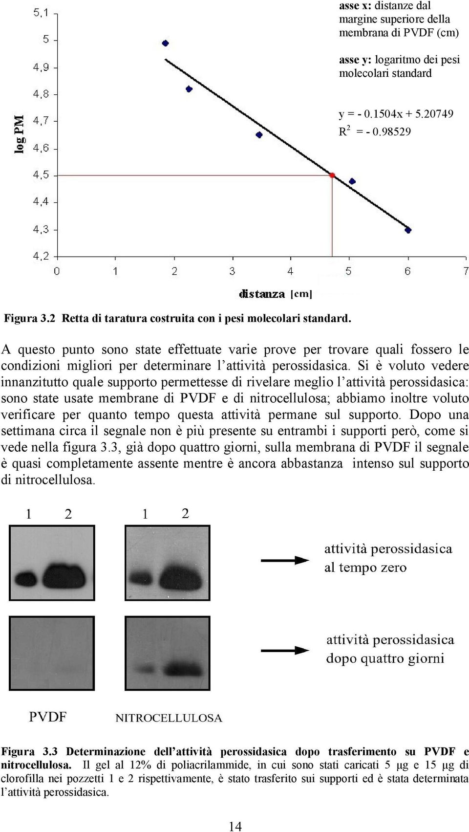 A questo punto sono state effettuate varie prove per trovare quali fossero le condizioni migliori per determinare l attività perossidasica.