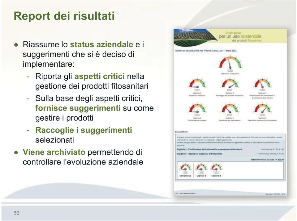 Sulla base degli aspetti critici, fornisce suggerimenti su come gestire i prodotti -