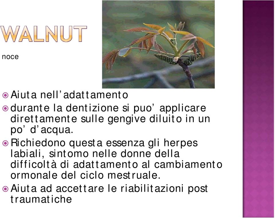 Richiedono questa essenza gli herpes labiali, sintomo nelle donne della