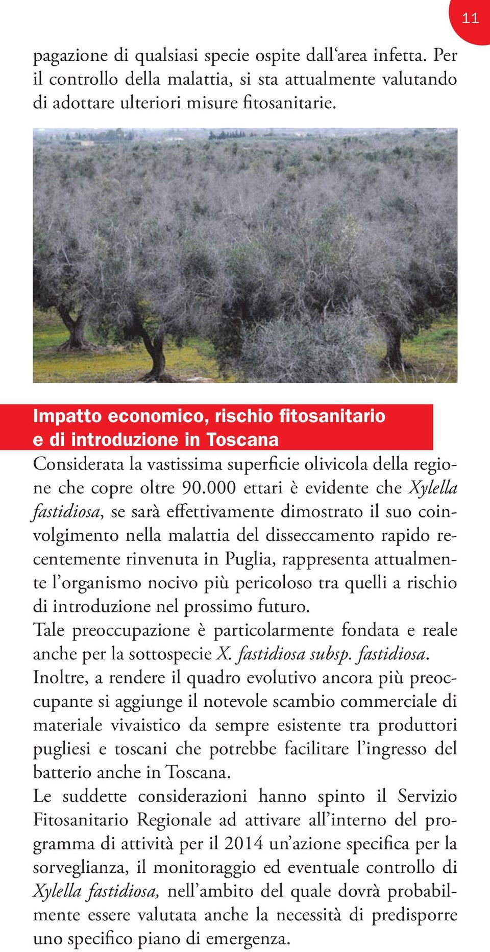 000 ettari è evidente che Xylella fastidiosa, se sarà effettivamente dimostrato il suo coinvolgimento nella malattia del disseccamento rapido recentemente rinvenuta in Puglia, rappresenta attualmente