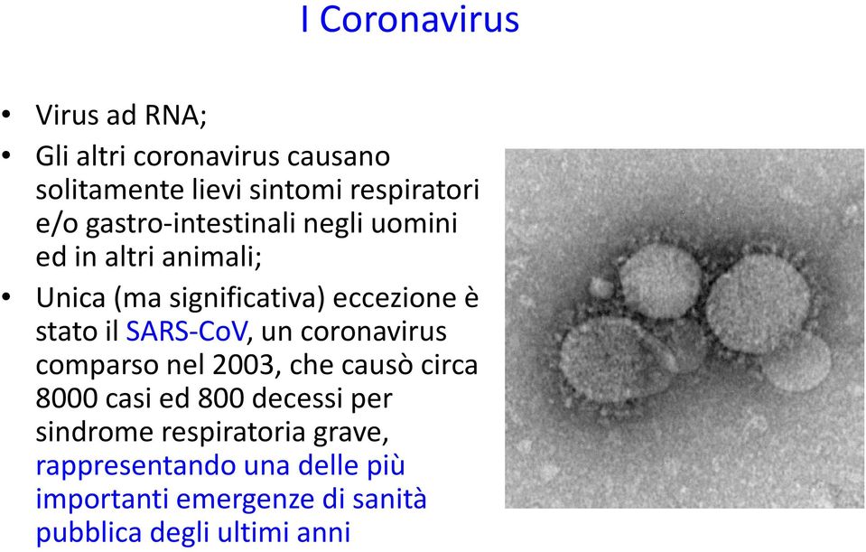 il SARS-CoV, un coronavirus comparsonel2003, checausòcirca 8000 casied800 decessiper