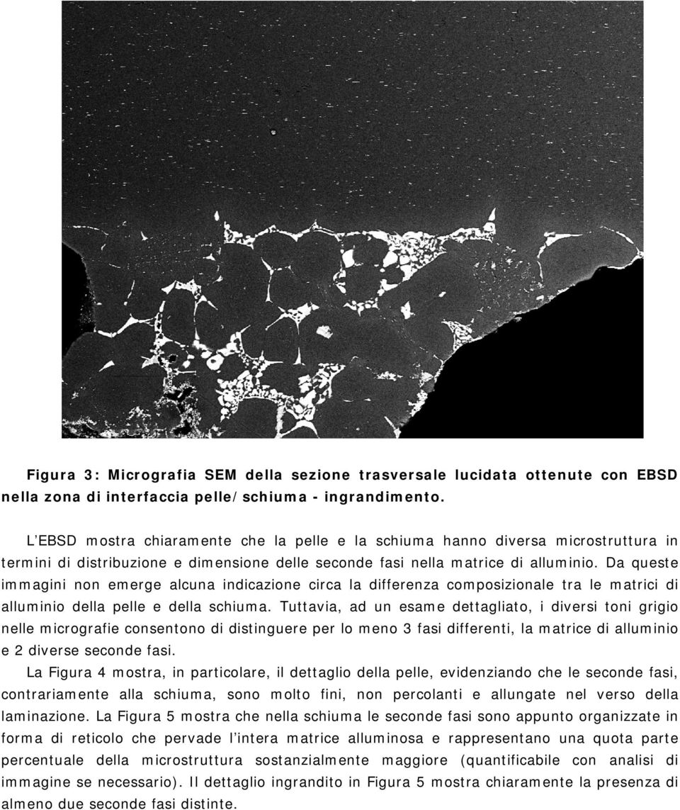 Da queste immagini non emerge alcuna indicazione circa la differenza composizionale tra le matrici di alluminio della pelle e della schiuma.