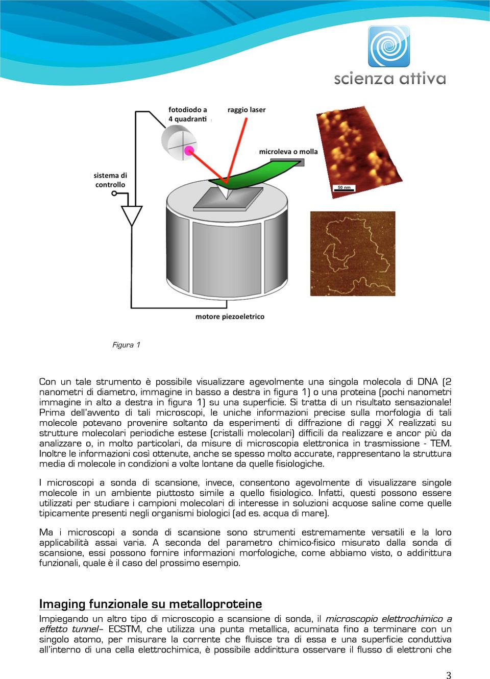 Prima dell avvento di tali microscopi, le uniche informazioni precise sulla morfologia di tali molecole potevano provenire soltanto da esperimenti di diffrazione di raggi X realizzati su strutture