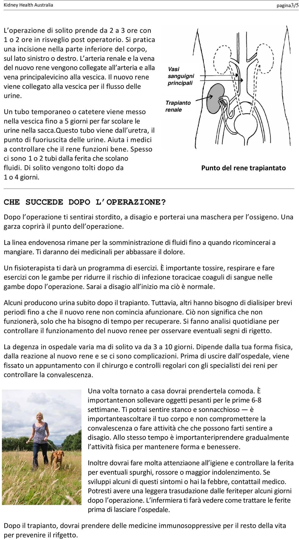 Un tubo temporaneo o catetere viene messo nella vescica fino a 5 giorni per far scolare le urine nella sacca.questo tubo viene dall uretra, il punto di fuoriuscita delle urine.