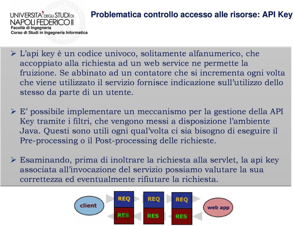 E possibile implementare un meccanismo per la gestione della API Key tramite i filtri, che vengono messi a disposizione l ambiente Java.