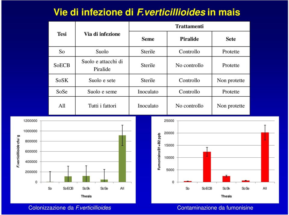 Sterile No controllo Protette SoSK Suolo e sete Sterile Controllo Non protette SoSe Suolo e seme Inoculato Controllo Protette All Tutti i fattori