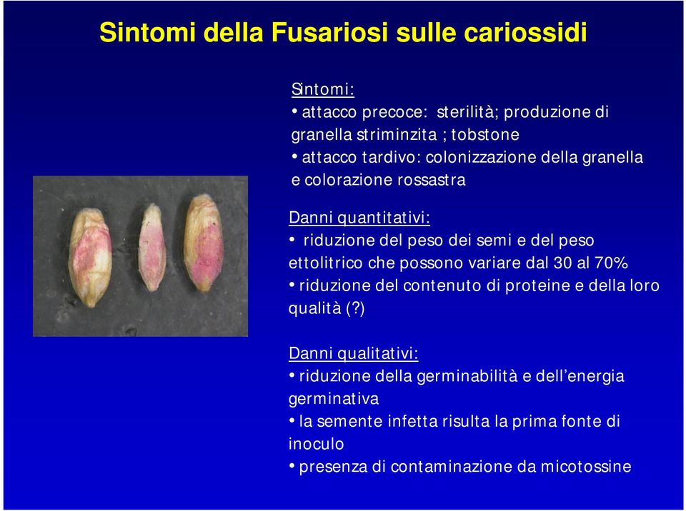 ettolitrico che possono variare dal 30 al 70% riduzione del contenuto di proteine e della loro qualità (?