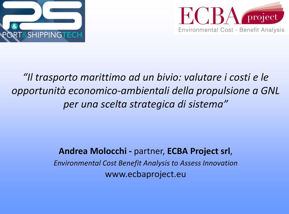 scelta strategica di sistema Andrea Molocchi - partner, ECBA