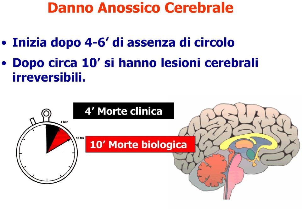 10 si hanno lesioni cerebrali