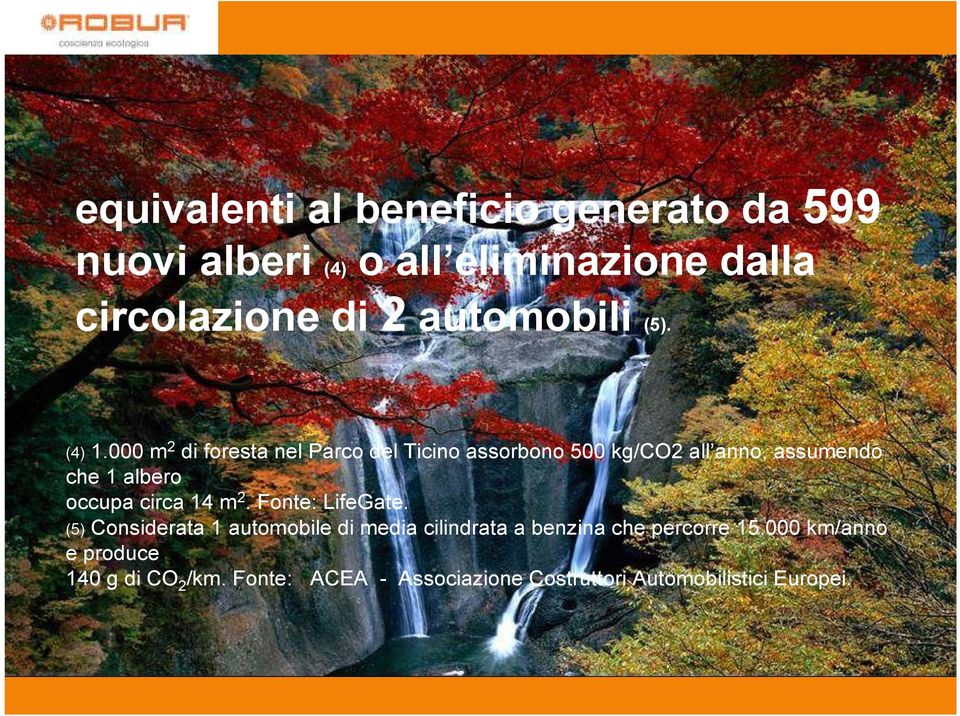 000 m 2 di foresta nel Parco del Ticino assorbono 500 kg/co2 all anno, assumendo che 1 albero occupa circa