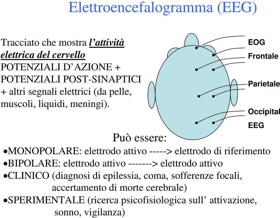 C C EOG Frontale Parietale Occipital EEG Può essere: MONOPOLARE: elettrodo attivo -----> elettrodo di riferimento BIPOLARE: