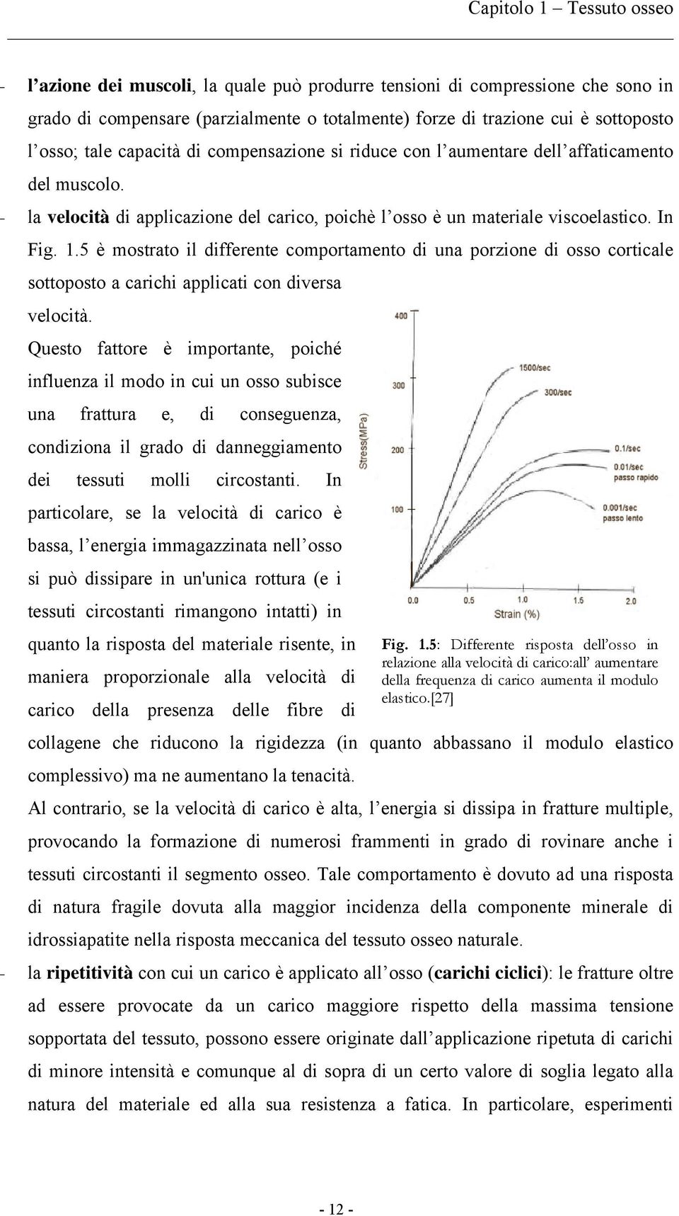 5 è mostrato il differente comportamento di una porzione di osso corticale sottoposto a carichi applicati con diversa velocità.