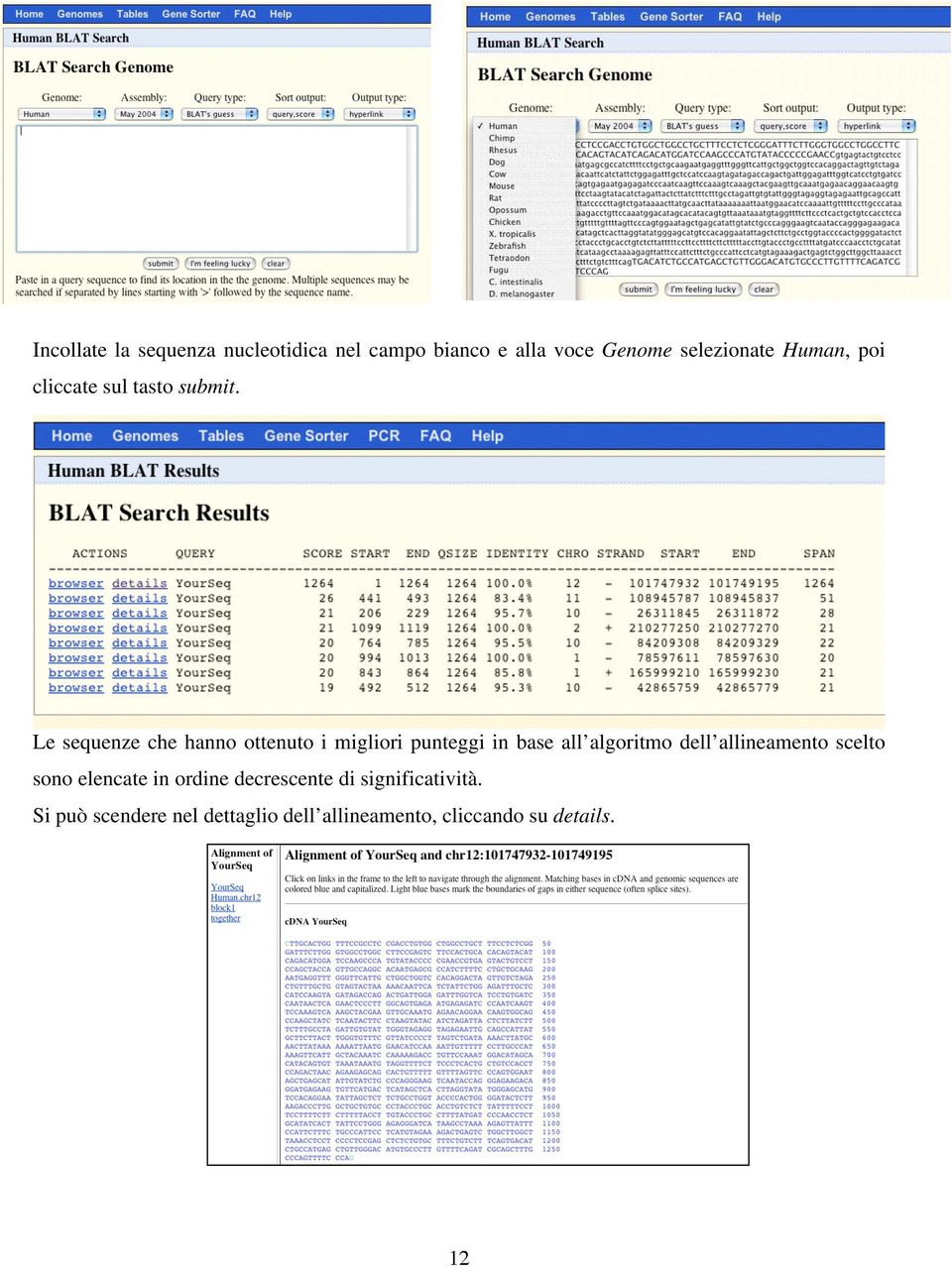 Le sequenze che hanno ottenuto i migliori punteggi in base all algoritmo dell