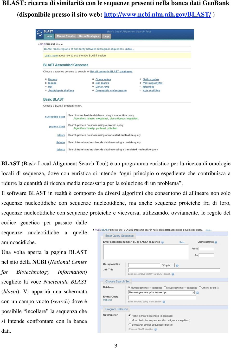 contribuisca a ridurre la quantità di ricerca media necessaria per la soluzione di un problema.