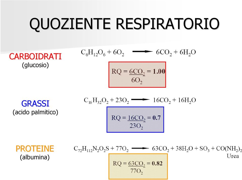 GRASSI (acido