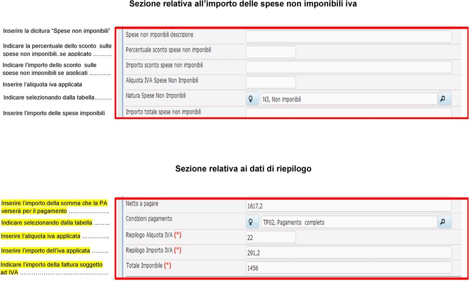 ..... Inserire l aliquota iva applicata Inserire l importo delle spese imponibili dati di riepilogo Inserire l importo della