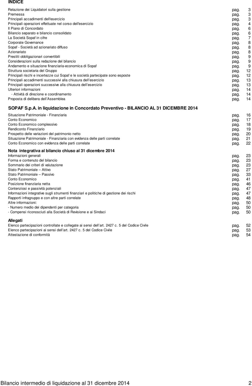 8 Azionariato pag. 8 Prestiti obbligazionari convertibili pag. 9 Considerazioni sulla redazione del bilancio pag. 9 Andamento e situazione finanziaria-economica di Sopaf pag.