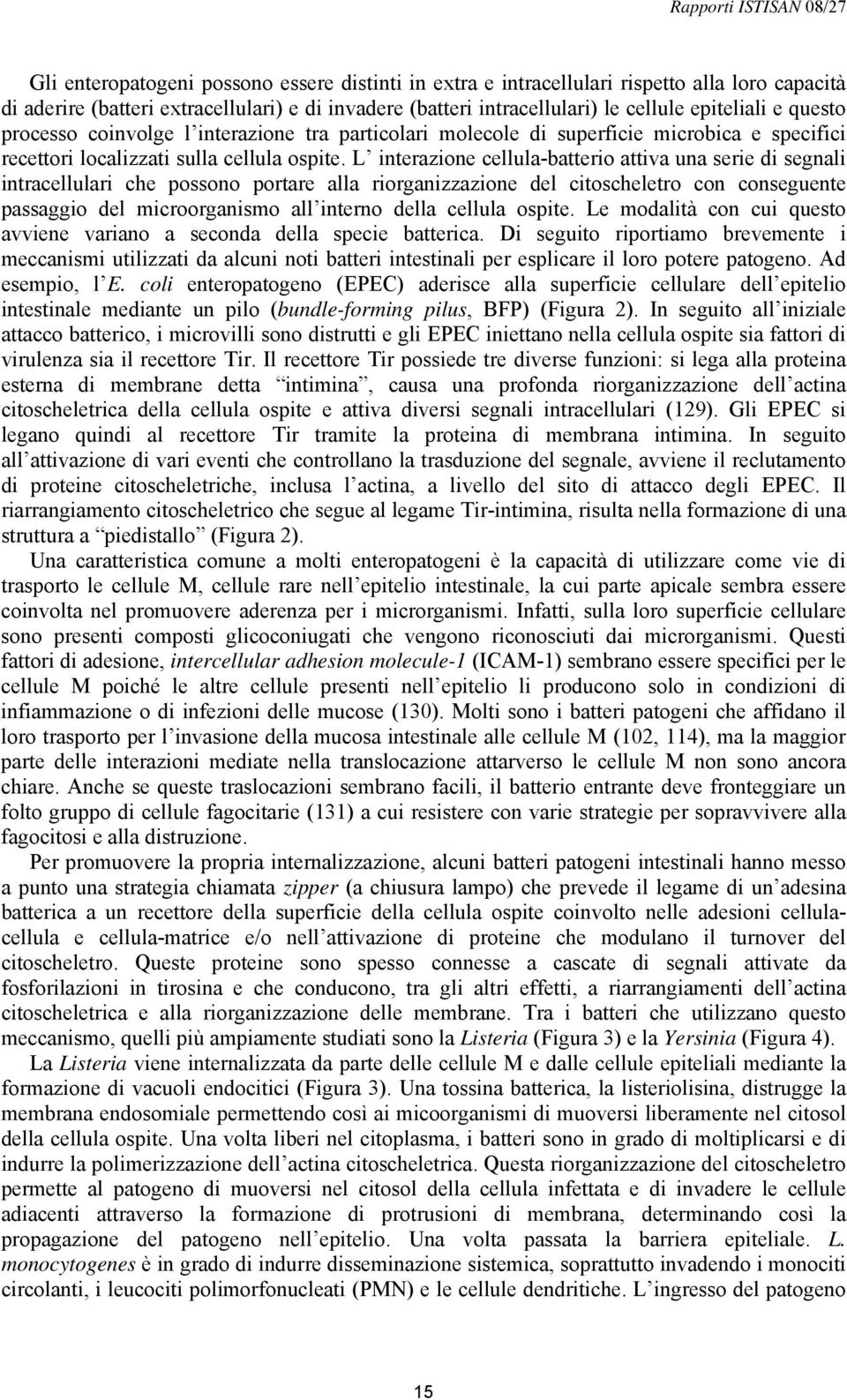 L interazione cellula-batterio attiva una serie di segnali intracellulari che possono portare alla riorganizzazione del citoscheletro con conseguente passaggio del microorganismo all interno della