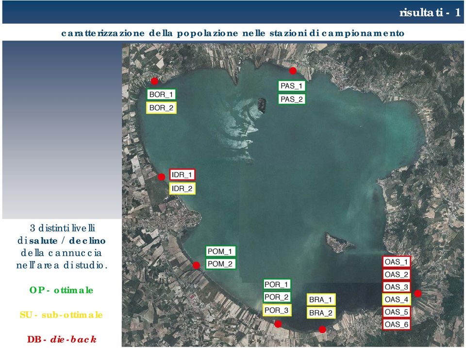 di salute / declino della cannuccia nell area di