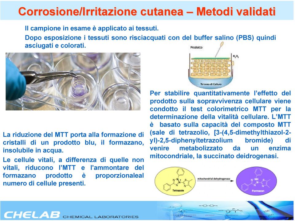 Le cellule vitali, a differenza di quelle non vitali, riducono l MTT e l'ammontare del formazano prodotto è proporzionaleal numero di cellule presenti.