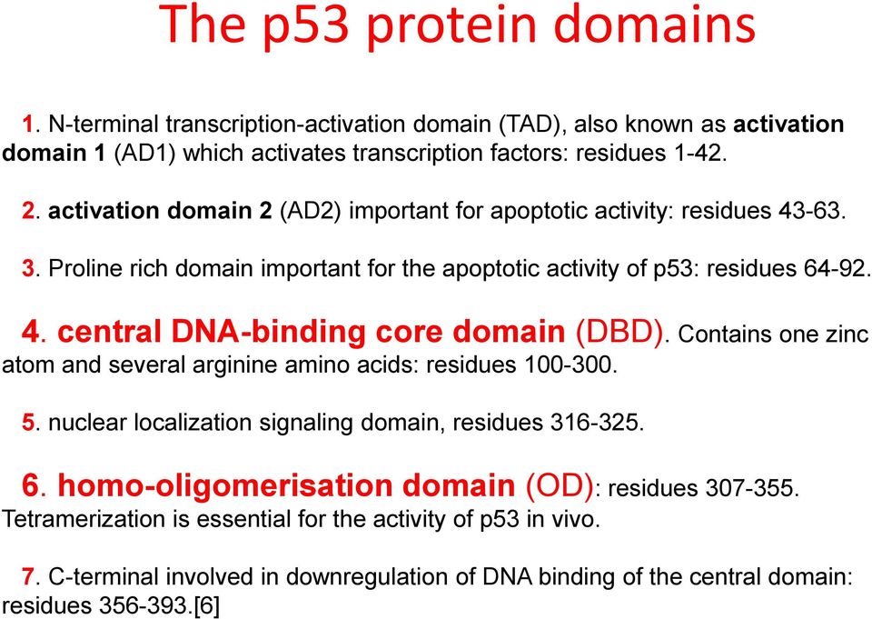 Contains one zinc atom and several arginine amino acids: residues 100-300. 5. nuclear localization signaling domain, residues 316-325. 6.