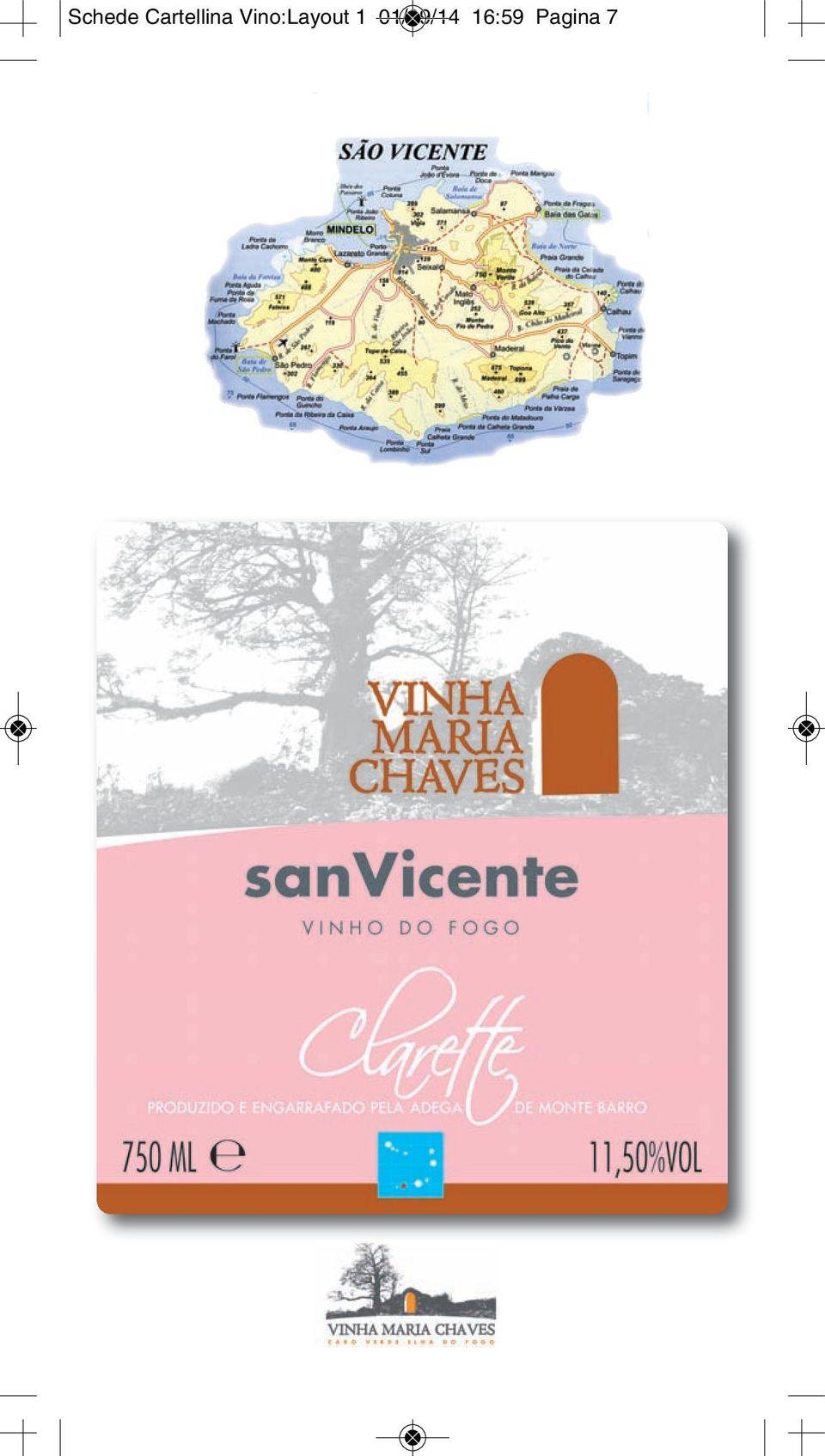 Vino:Layout 1