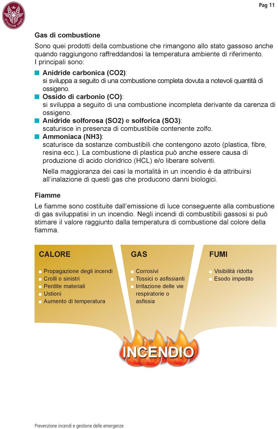 ossido di carbonio (Co): si sviluppa a seguito di una combustione incompleta derivante da carenza di ossigeno.