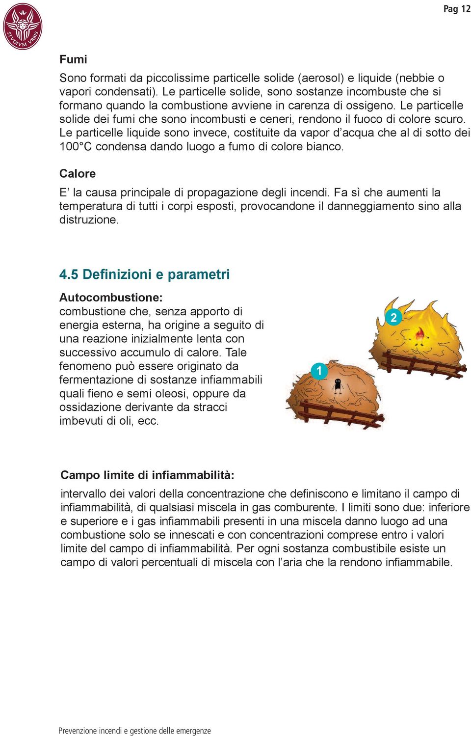 Le particelle solide dei fumi che sono incombusti e ceneri, rendono il fuoco di colore scuro.