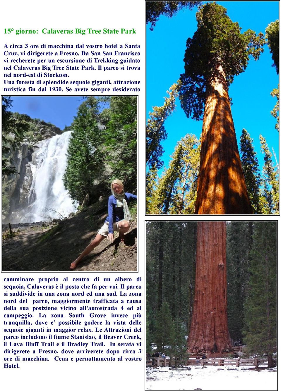 Una foresta di splendide sequoie giganti, attrazione turistica fin dal 1930. Se avete sempre desiderato camminare proprio al centro di un albero di sequoia, Calaveras è il posto che fa per voi.