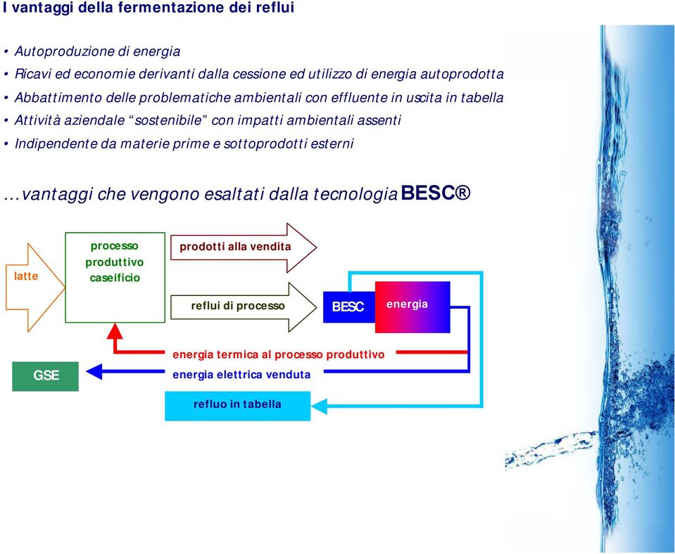 ambientali assenti Indipendente da materie prime e sottoprodotti esterni vantaggi che vengono esaltati dalla tecnologia BESC latte processo