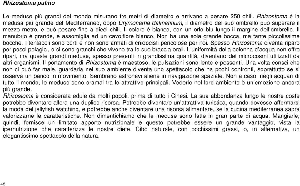 Il colore è bianco, con un orlo blu lungo il margine dell ombrello. Il manubrio è grande, e assomiglia ad un cavolfiore bianco. Non ha una sola grande bocca, ma tante piccolissime bocche.