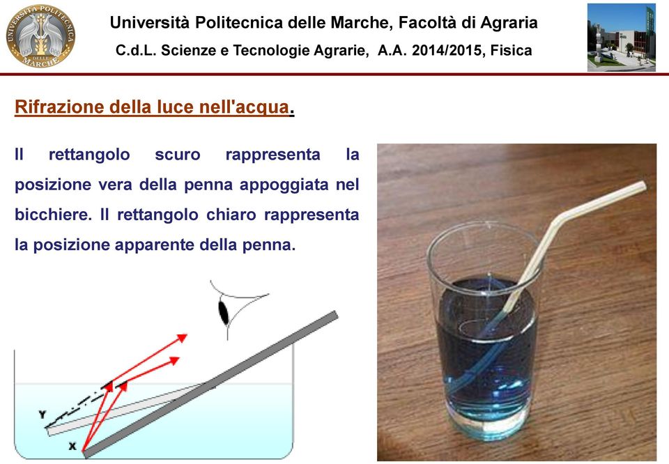 vera della penna appoggiata nel bicchiere.