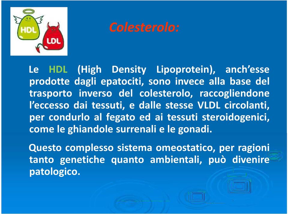 circolanti, per condurlo al fegato ed ai tessuti steroidogenici, come le ghiandole surrenali e le gonadi.