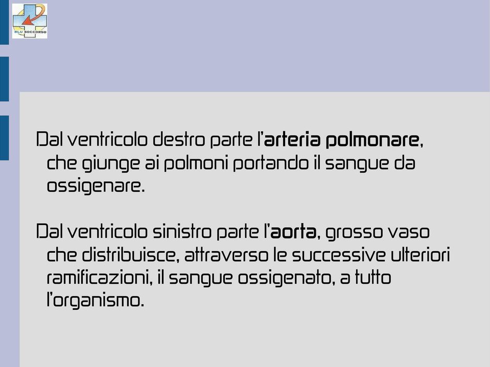 Dal ventricolo sinistro parte l aorta, grosso vaso che