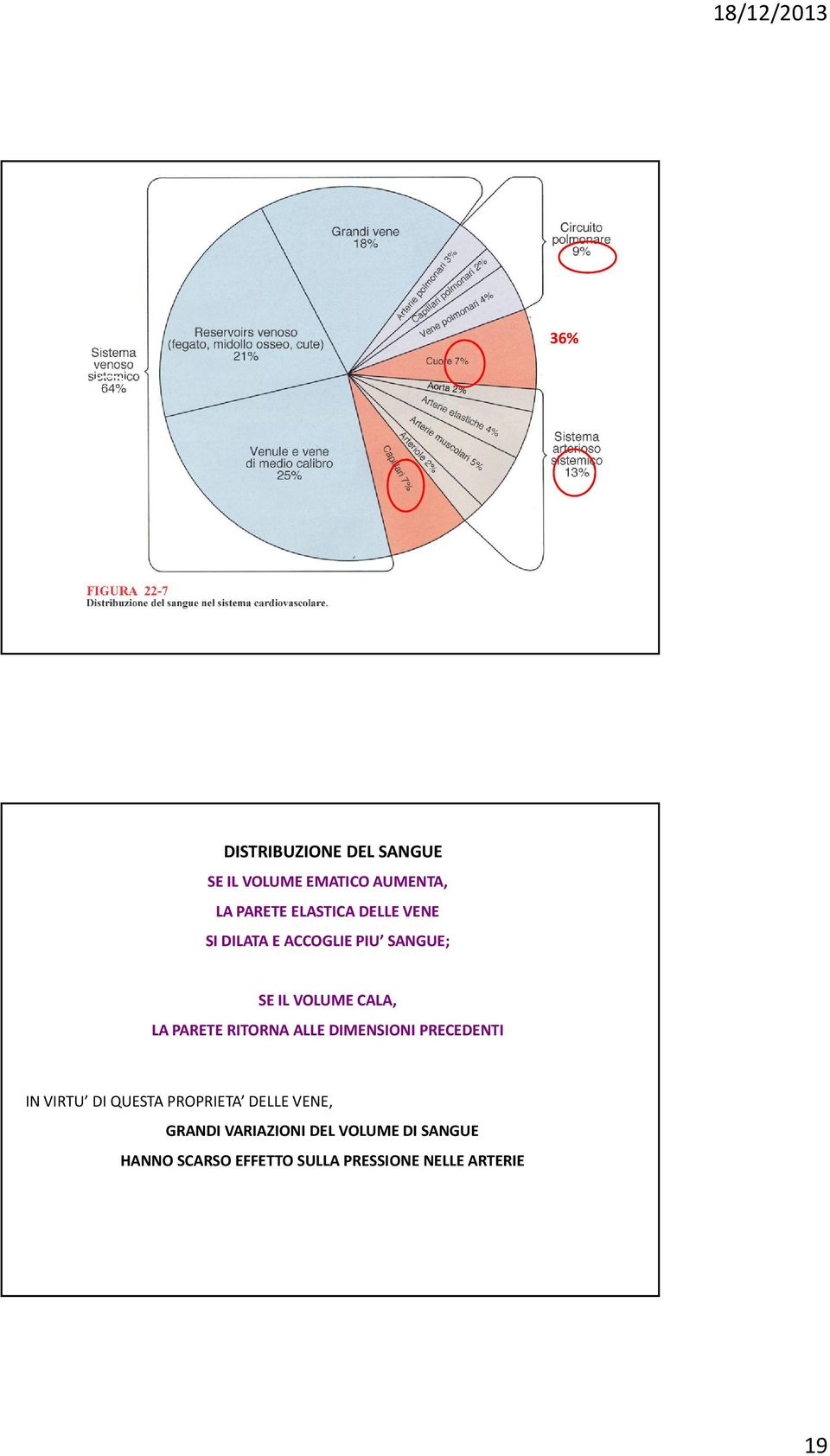 RITORNA ALLE DIMENSIONI PRECEDENTI IN VIRTU DI QUESTA PROPRIETA DELLE VENE,