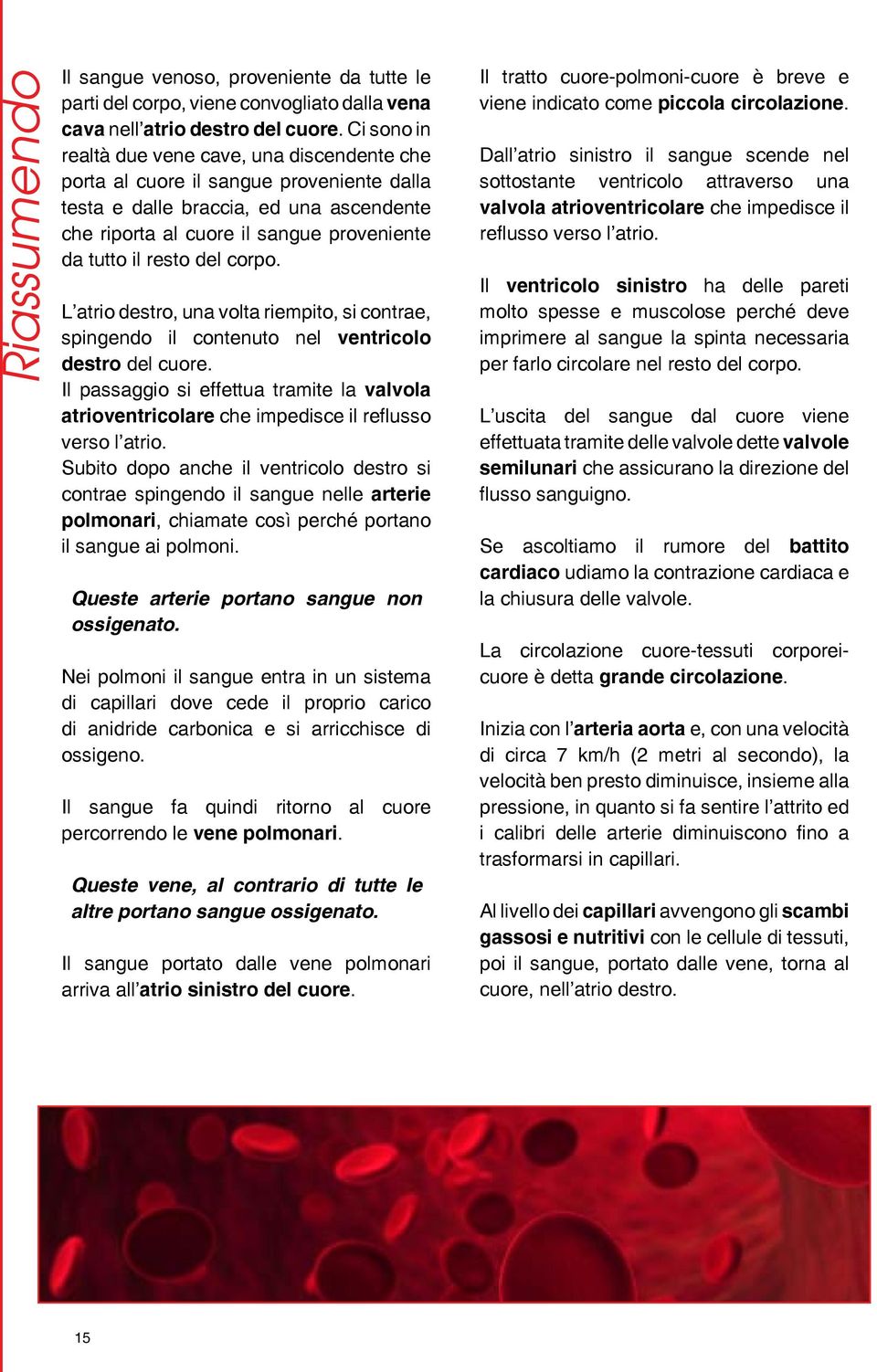 del corpo. L atrio destro, una volta riempito, si contrae, spingendo il contenuto nel ventricolo destro del cuore.