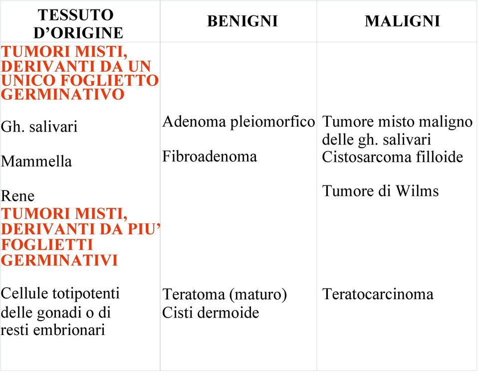 pleiomorfico Fibroadenoma MALIGNI Tumore misto maligno delle gh.