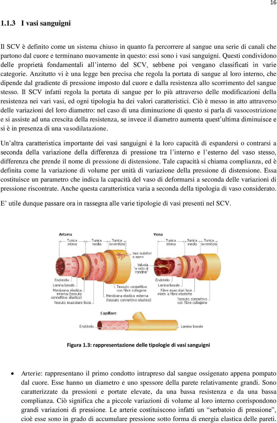 Anzitutto vi è una legge ben precisa che regola la portata di sangue al loro interno, che dipende dal gradiente di pressione imposto dal cuore e dalla resistenza allo scorrimento del sangue stesso.