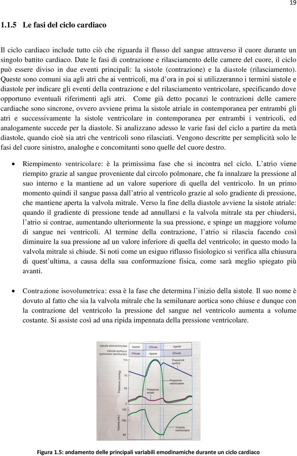 Queste sono comuni sia agli atri che ai ventricoli, ma d ora in poi si utilizzeranno i termini sistole e diastole per indicare gli eventi della contrazione e del rilasciamento ventricolare,