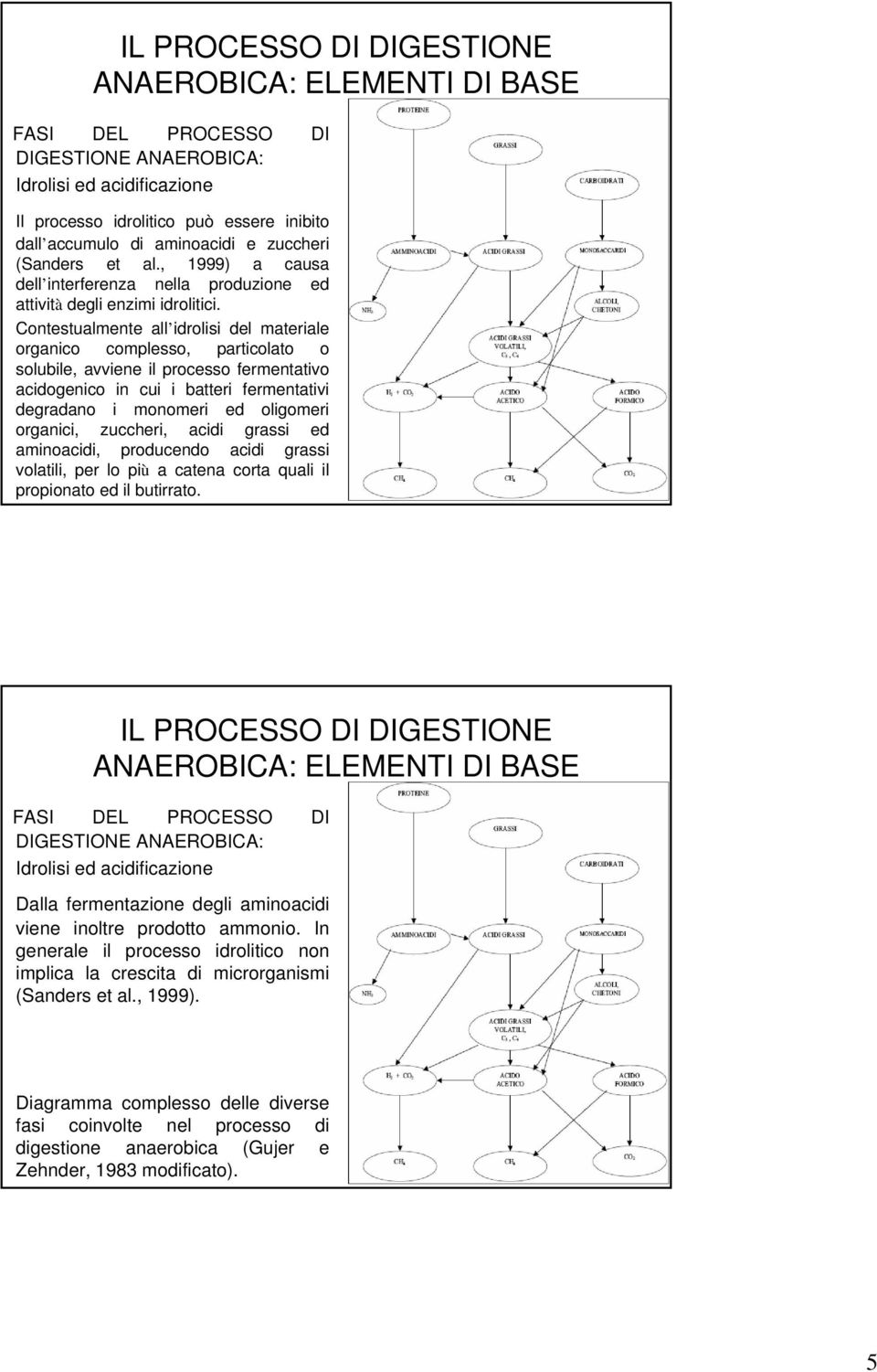 Contestualmente all idrolisi del materiale organico complesso, particolato o solubile, avviene il processo fermentativo acidogenico in cui i batteri fermentativi degradano i monomeri ed oligomeri