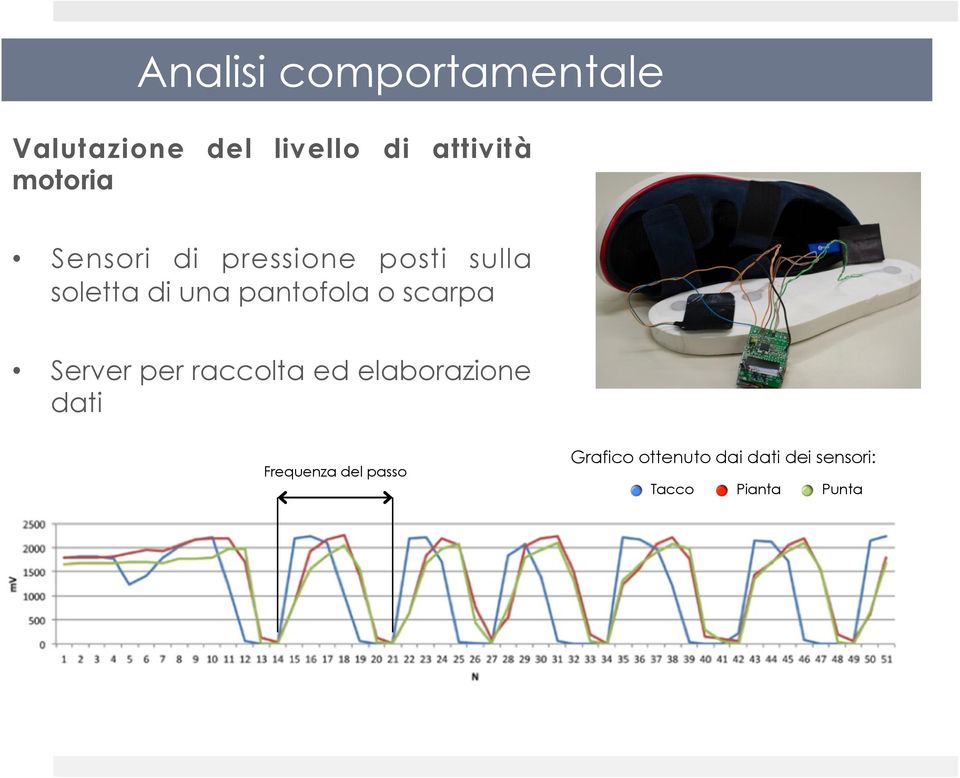 pantofola o scarpa Server per raccolta ed elaborazione dati