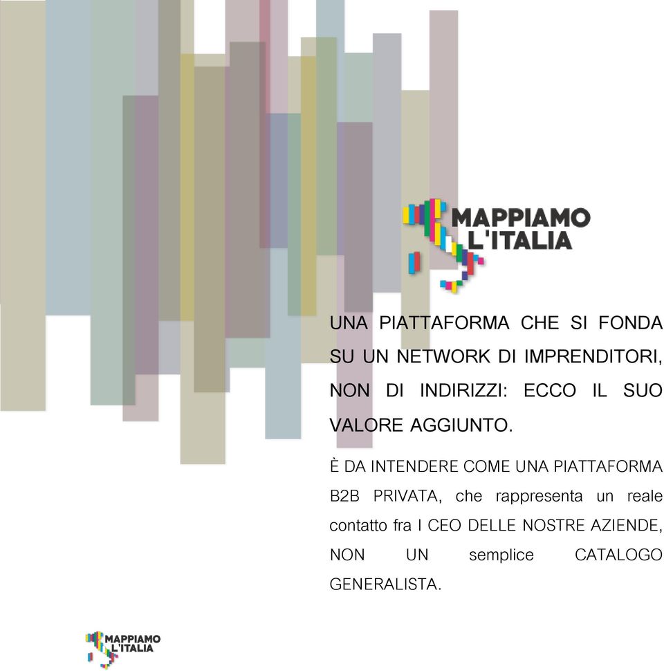 È DA INTENDERE COME UNA PIATTAFORMA B2B PRIVATA, che rappresenta